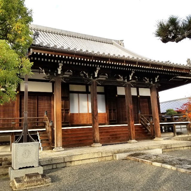 f:id:atoriatoriatori:20211231094538j:image