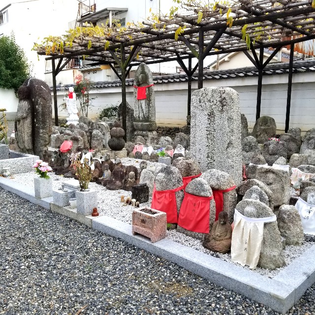 f:id:atoriatoriatori:20211231095301j:image