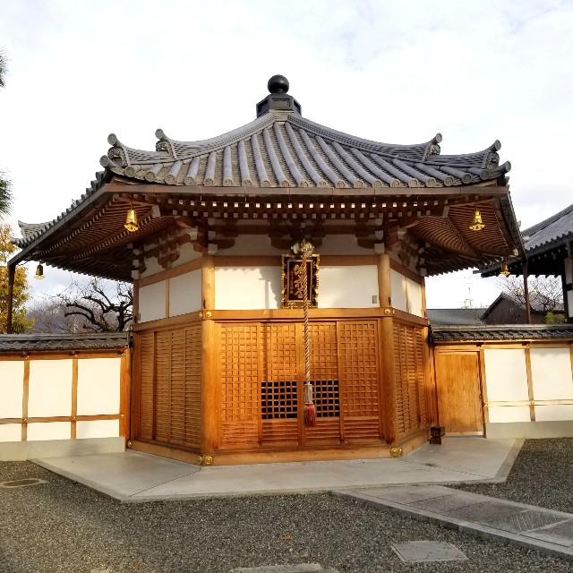 f:id:atoriatoriatori:20211231095519j:image