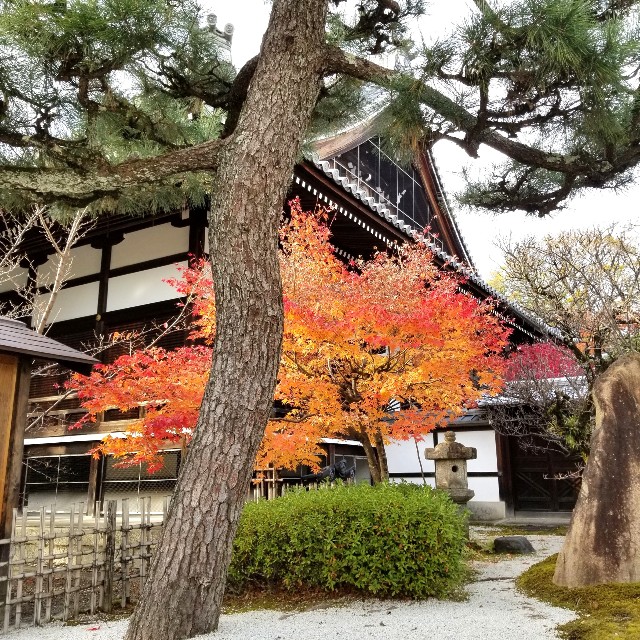 f:id:atoriatoriatori:20211231135936j:image