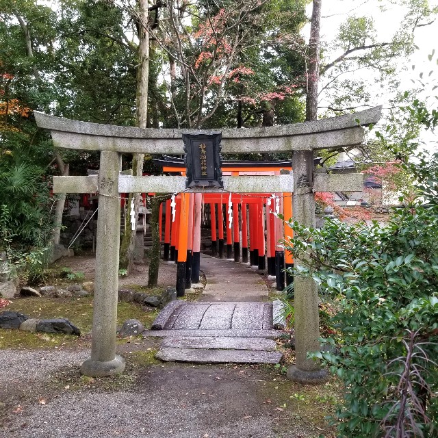 f:id:atoriatoriatori:20211231212236j:image