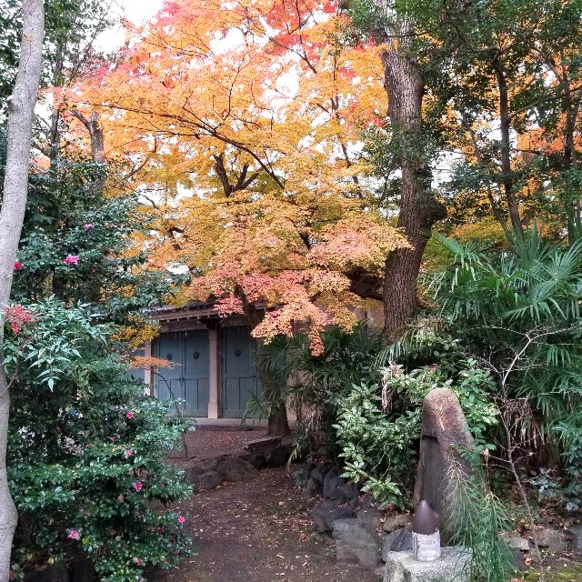 f:id:atoriatoriatori:20220101091724j:image