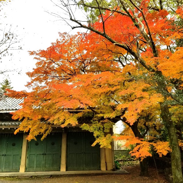 f:id:atoriatoriatori:20220101095741j:image