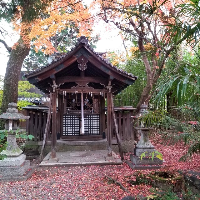 f:id:atoriatoriatori:20220101101116j:image