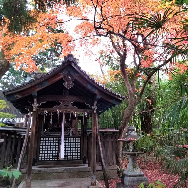 f:id:atoriatoriatori:20220101101123j:image