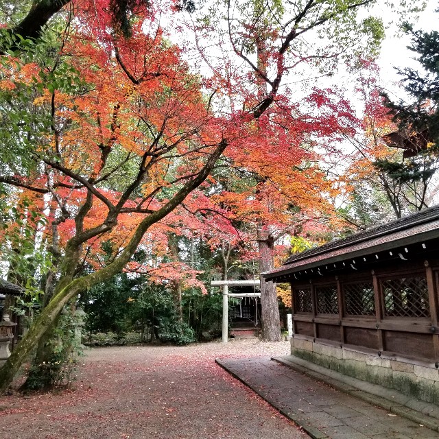 f:id:atoriatoriatori:20220101101949j:image