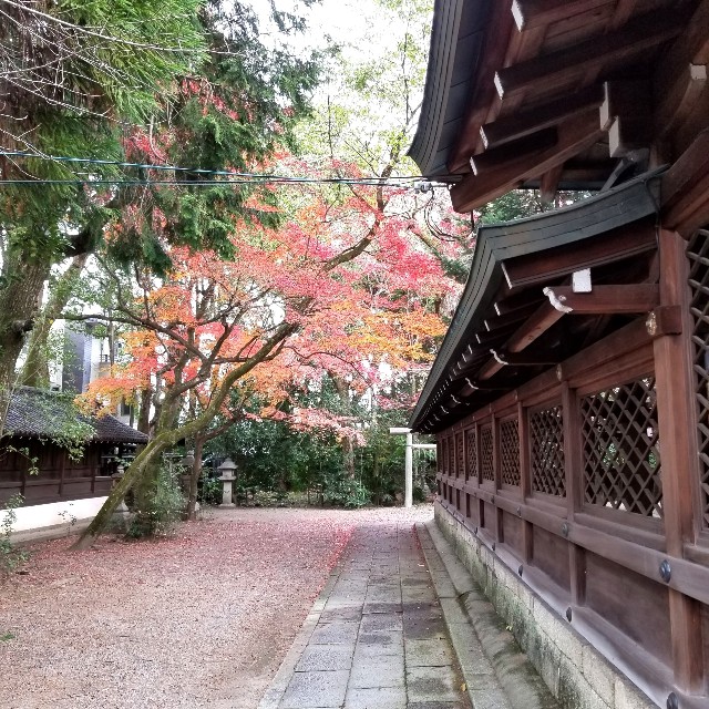 f:id:atoriatoriatori:20220101162248j:image