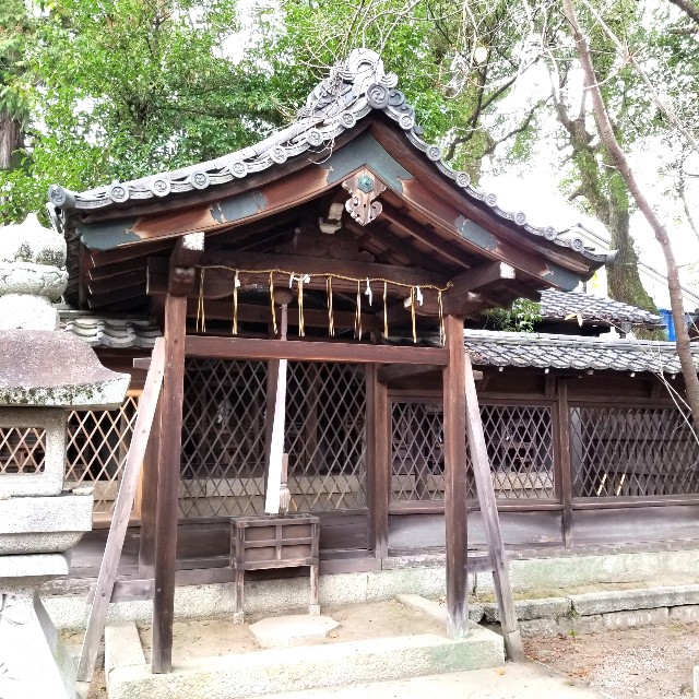 f:id:atoriatoriatori:20220101175516j:image