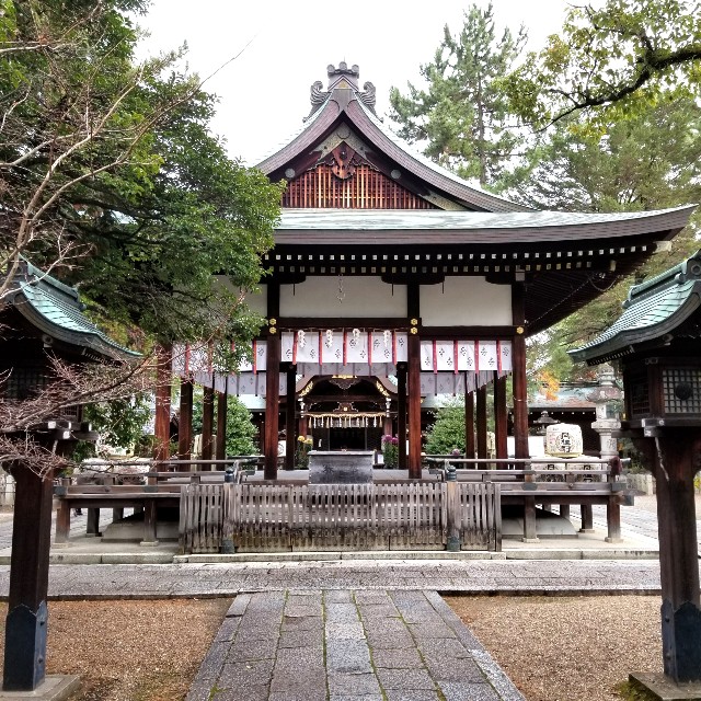 f:id:atoriatoriatori:20220101180809j:image