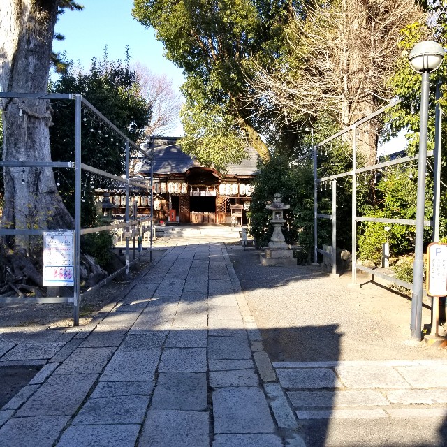 f:id:atoriatoriatori:20220111213029j:image