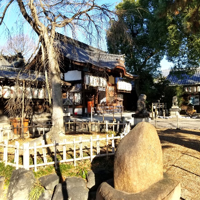 f:id:atoriatoriatori:20220111222826j:image