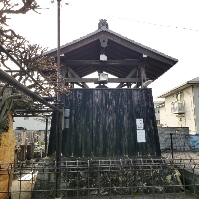f:id:atoriatoriatori:20220202205835j:image