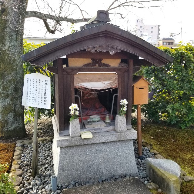 f:id:atoriatoriatori:20220203120045j:image