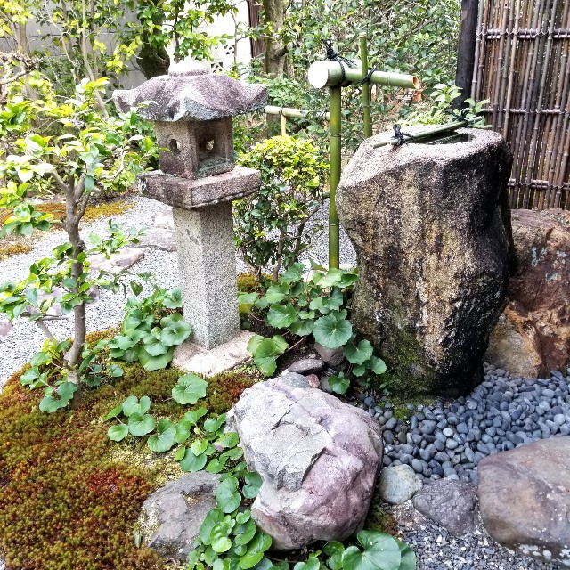 f:id:atoriatoriatori:20220203134443j:image