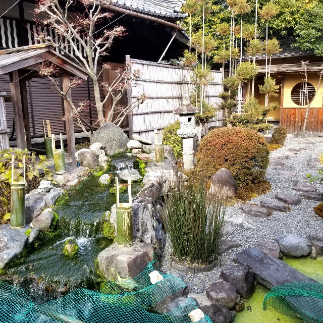 f:id:atoriatoriatori:20220203141817j:image