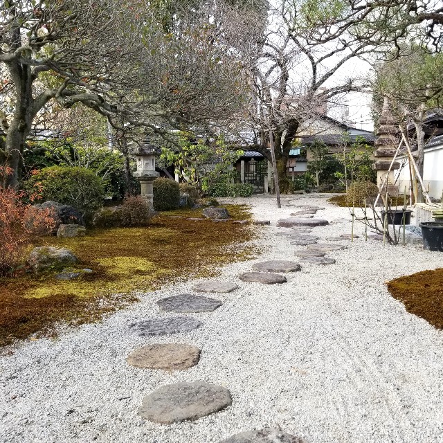 f:id:atoriatoriatori:20220203174707j:image