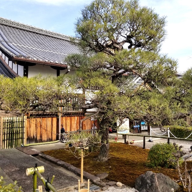 f:id:atoriatoriatori:20220203174716j:image