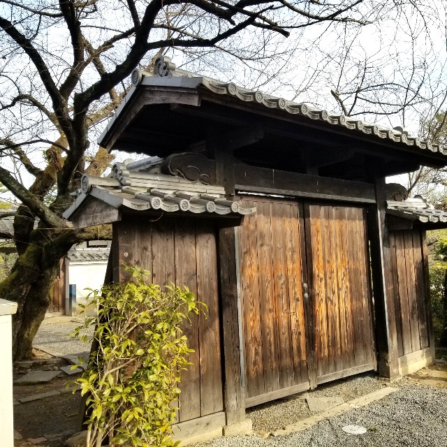 f:id:atoriatoriatori:20220203180126j:image