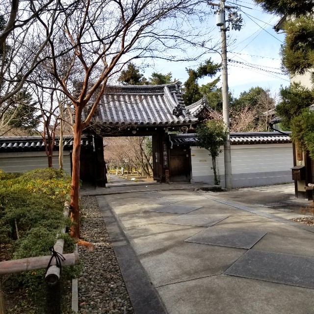 f:id:atoriatoriatori:20220203220934j:image