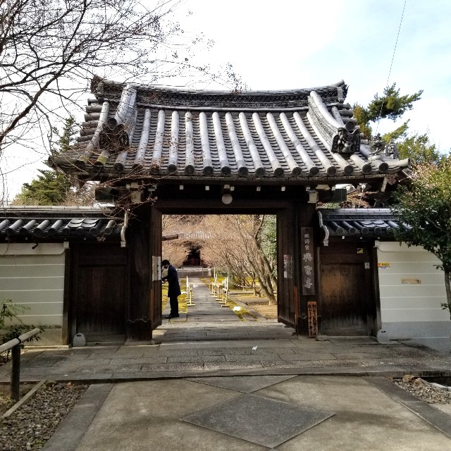 f:id:atoriatoriatori:20220203220941j:image