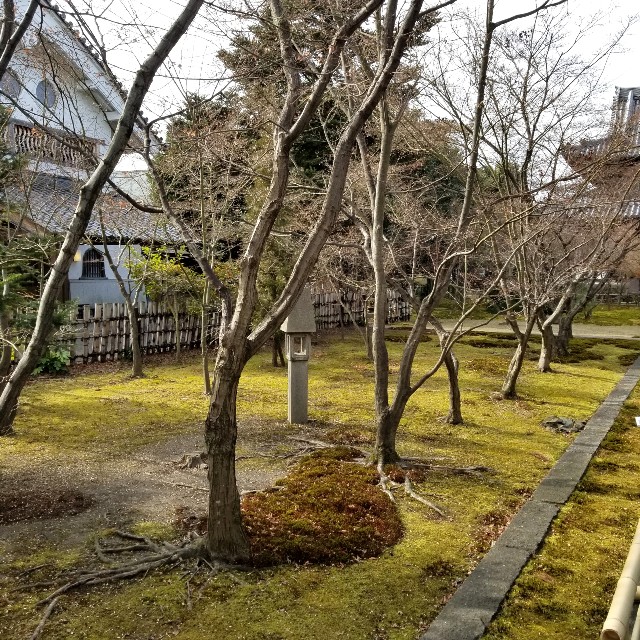 f:id:atoriatoriatori:20220204092541j:image