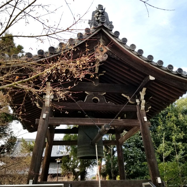 f:id:atoriatoriatori:20220204092556j:image
