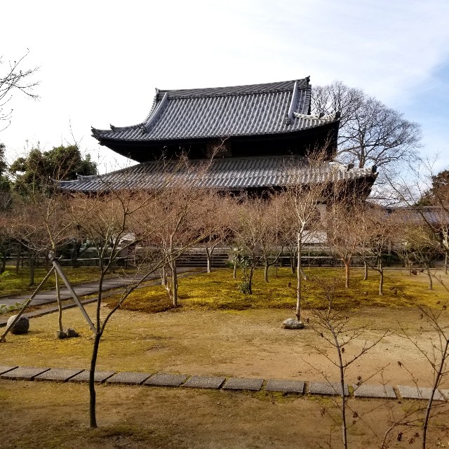 f:id:atoriatoriatori:20220204092616j:image