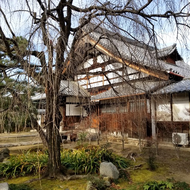 f:id:atoriatoriatori:20220204093010j:image
