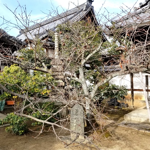 f:id:atoriatoriatori:20220204100813j:image