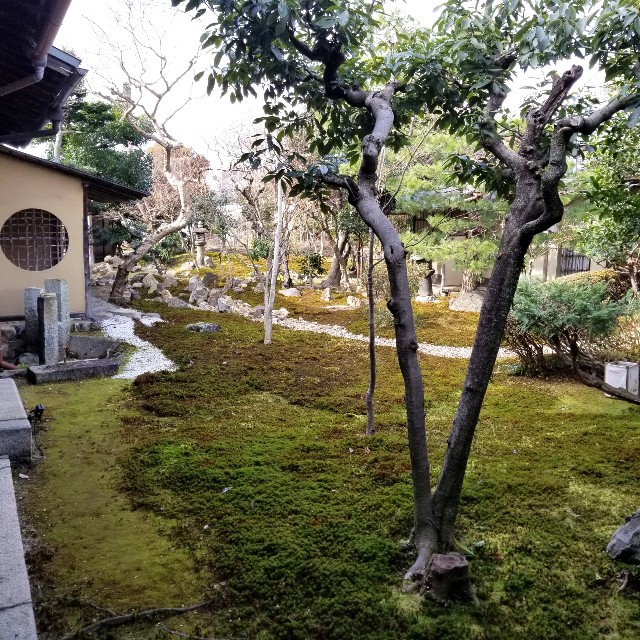 f:id:atoriatoriatori:20220204150013j:image