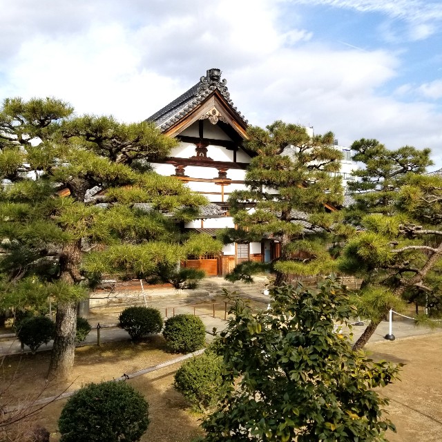 f:id:atoriatoriatori:20220204161018j:image