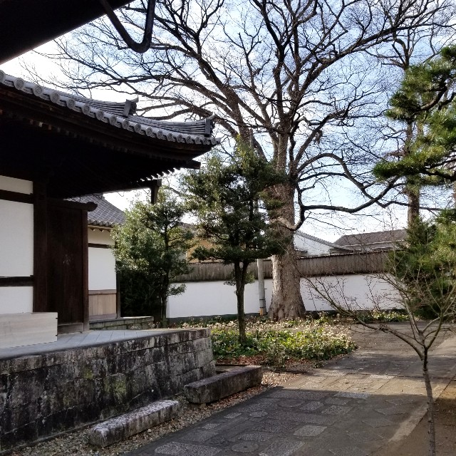 f:id:atoriatoriatori:20220204161026j:image