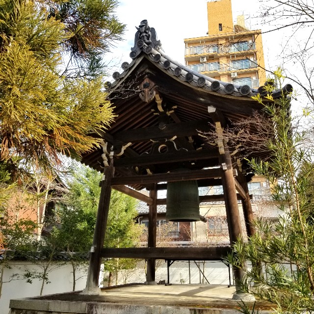 f:id:atoriatoriatori:20220204161213j:image