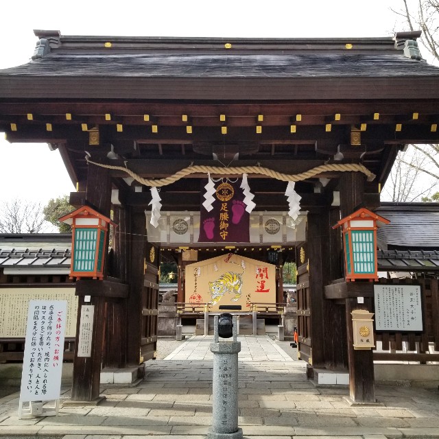 f:id:atoriatoriatori:20220212180425j:image