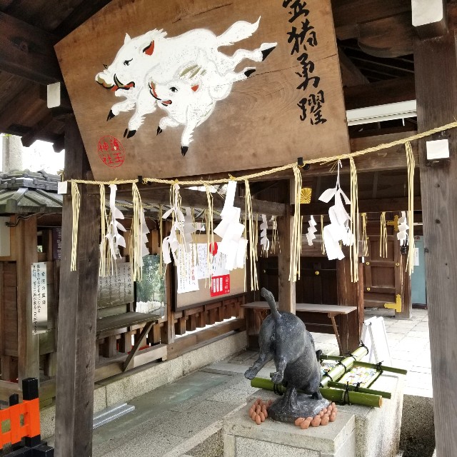 f:id:atoriatoriatori:20220212205236j:image