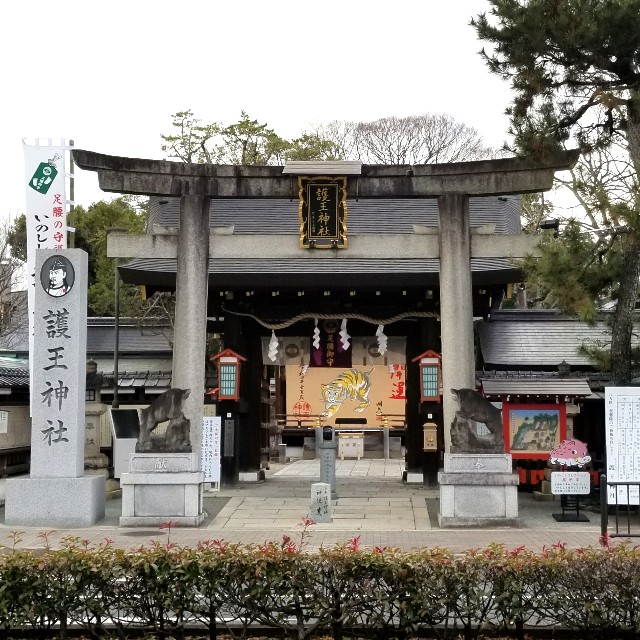 f:id:atoriatoriatori:20220214084643j:image