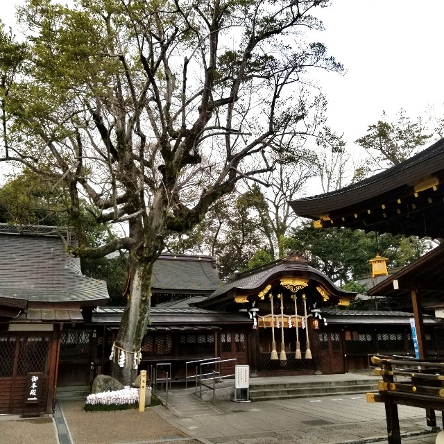 f:id:atoriatoriatori:20220214085341j:image