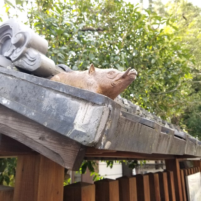 f:id:atoriatoriatori:20220214105335j:image