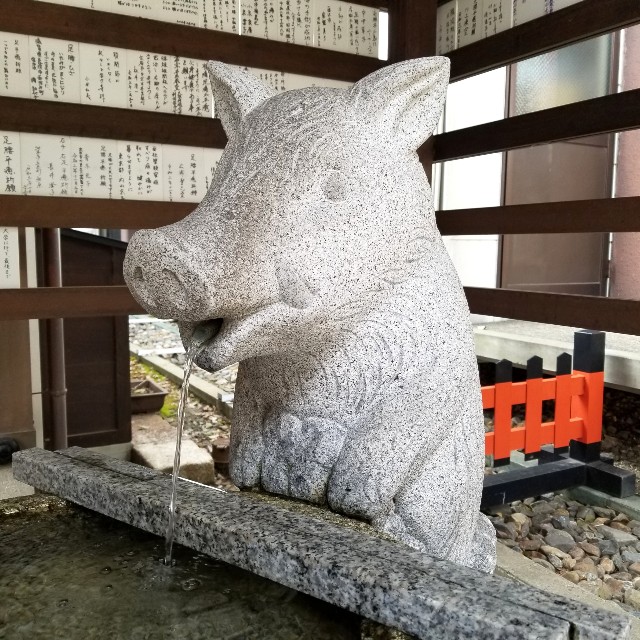 f:id:atoriatoriatori:20220214150033j:image
