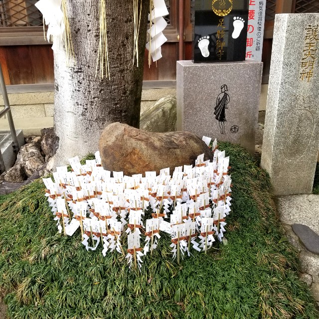 f:id:atoriatoriatori:20220214150136j:image