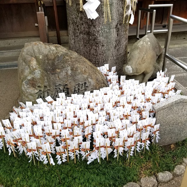 f:id:atoriatoriatori:20220214150325j:image