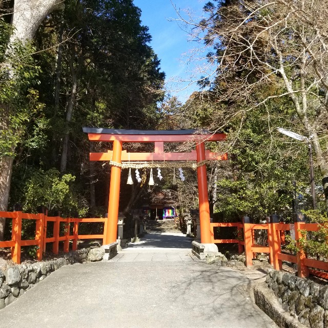 f:id:atoriatoriatori:20220225220908j:image