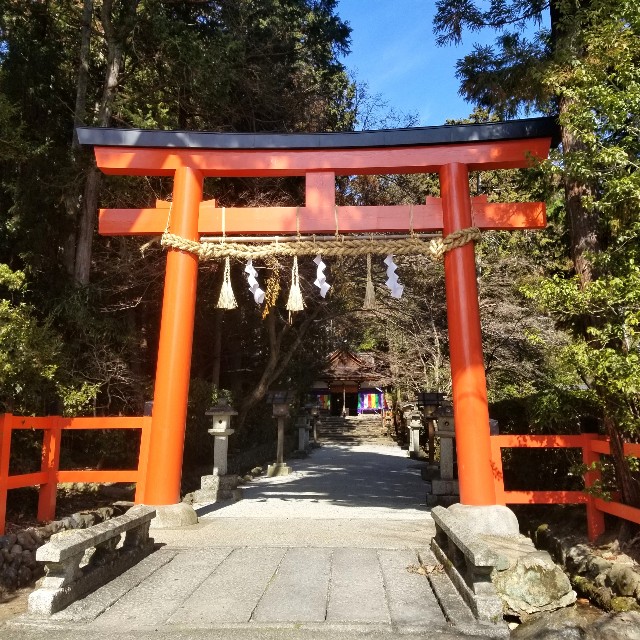 f:id:atoriatoriatori:20220225220916j:image