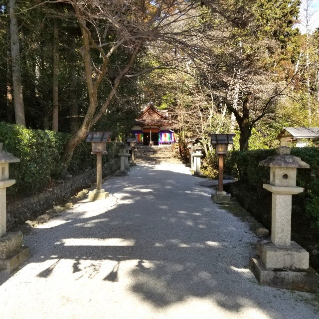 f:id:atoriatoriatori:20220225221015j:image