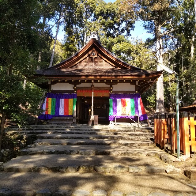 f:id:atoriatoriatori:20220226094139j:image