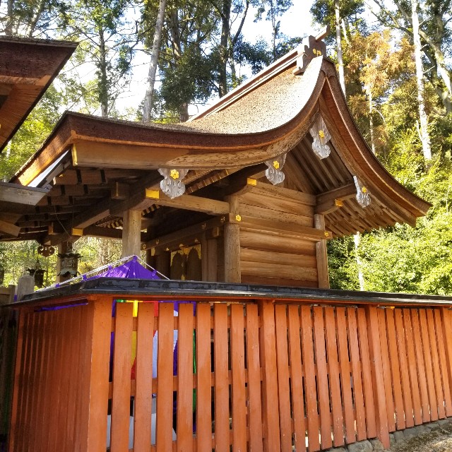 f:id:atoriatoriatori:20220226155501j:image