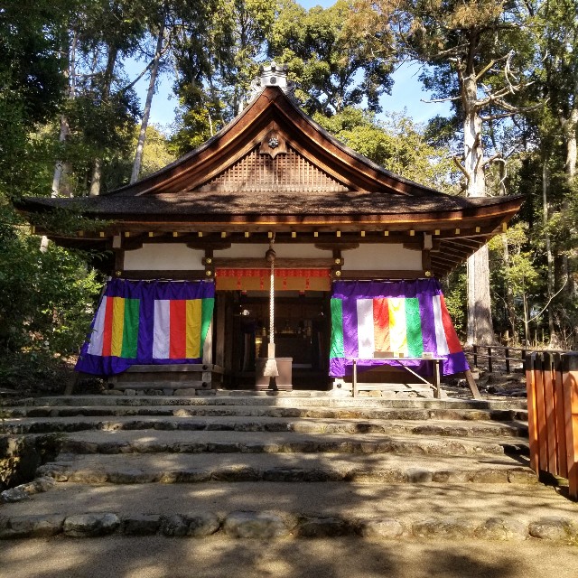 f:id:atoriatoriatori:20220226155509j:image