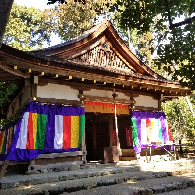 f:id:atoriatoriatori:20220226160029j:image