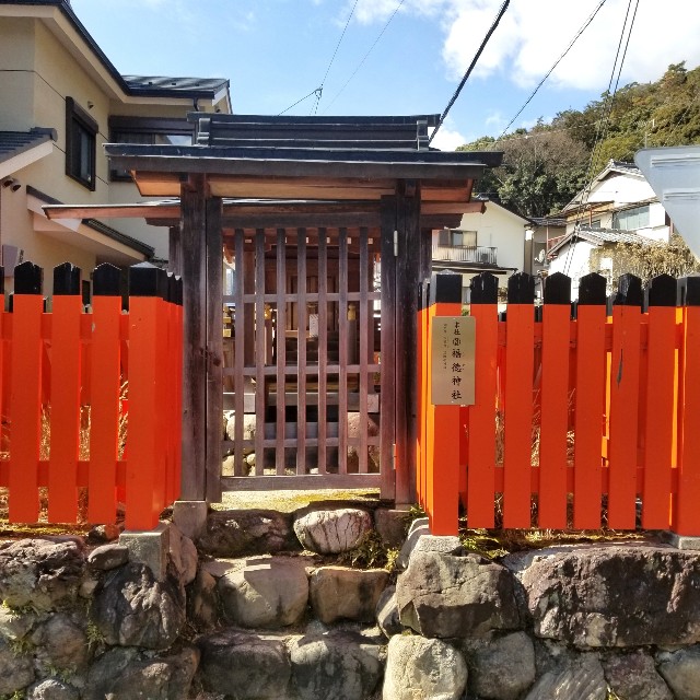 f:id:atoriatoriatori:20220226160543j:image