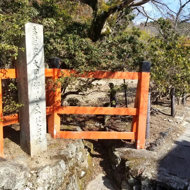 f:id:atoriatoriatori:20220226160926j:image